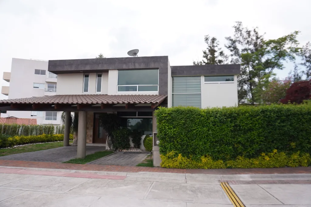 DSC06869.webp