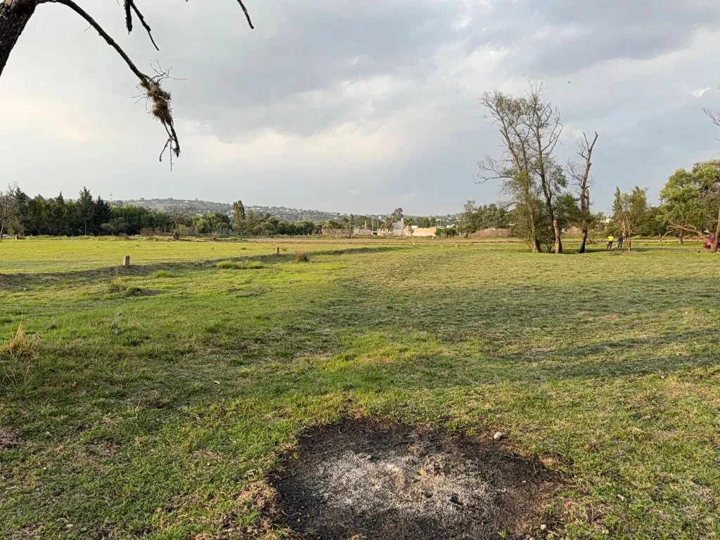terreno 1.webp