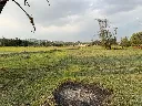 terreno 1.webp