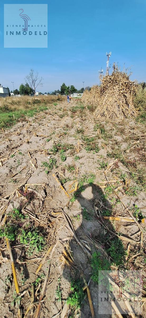 Oportunidad de Inversión en Panotla: Terreno de 789 m² frente a Campo Deportivo ($1,000 MXN/m²)