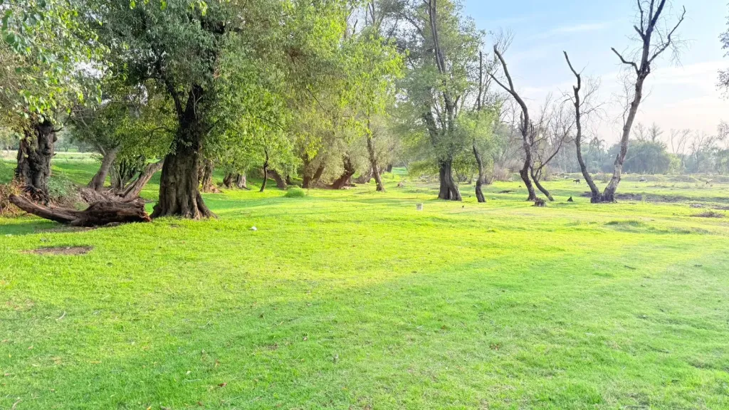 Macroterreno de 7,500 m²: Inversión patrimonial cerca de Gran Patio ($1,500.00 MXN)